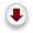 downloadicon