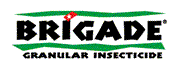 brigade_178pix