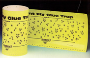 Giant Fly Glue Trap